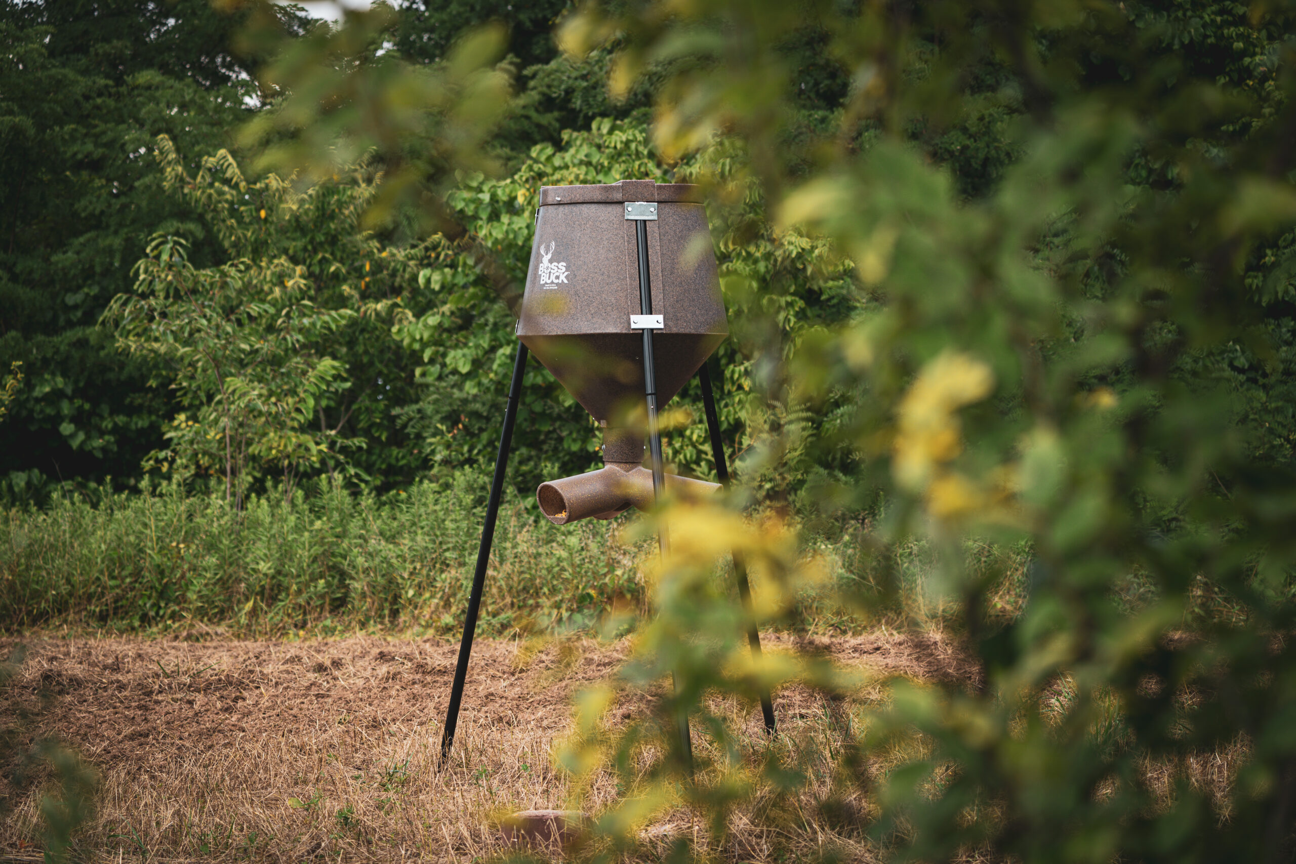 image00008 350 Lb Feeders