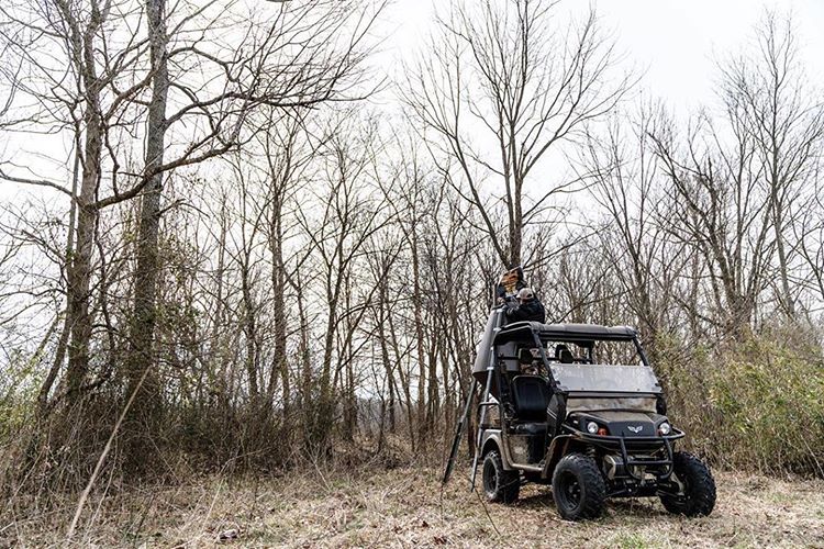 boss buck No-Fail Deer-Feeding Strategies for Your Favorite Time of Year 1