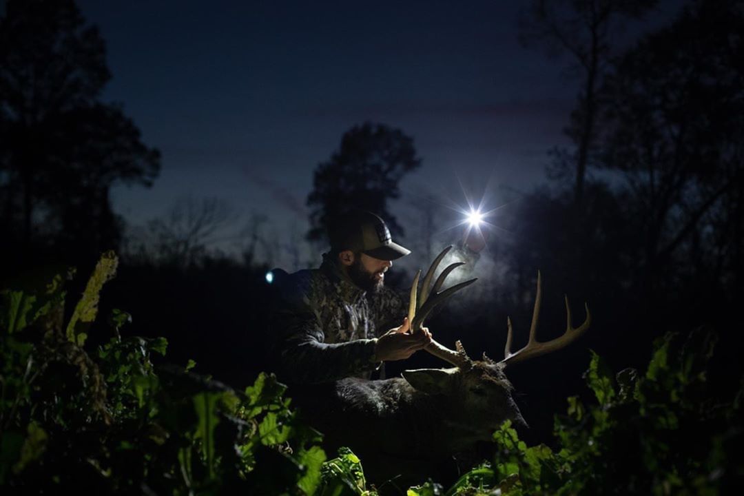 boss buck No-Fail Deer-Feeding Strategies for Your Favorite Time of Year 6